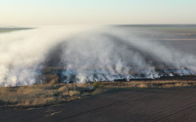 incendiu-Peris-ferma-de-porci-sursa-cititor-e1586328729133-640x400