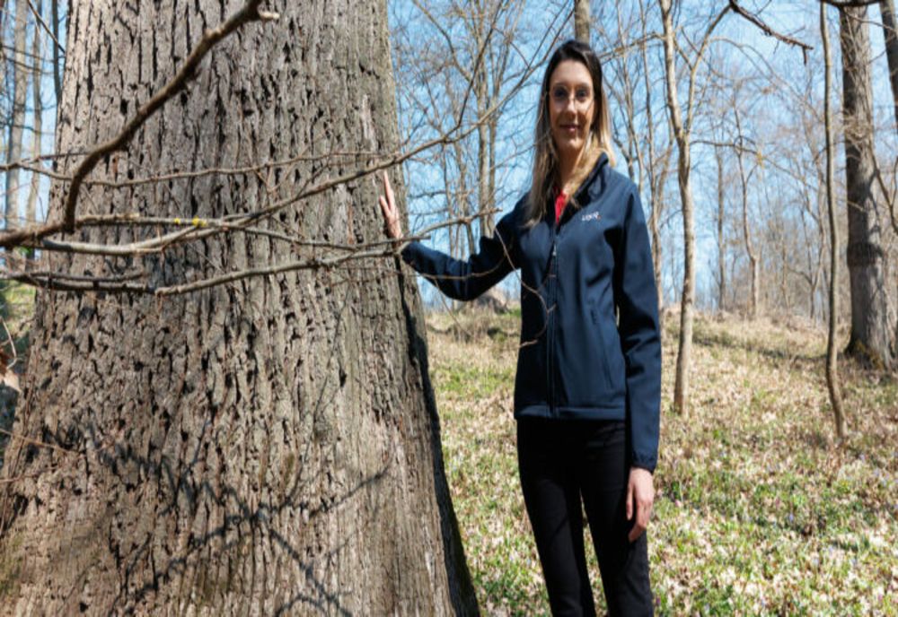 MINISTRA MEDIULUI, APELOR ȘI PĂDURILOR, DIANA BUZOIANU, LANSEAZĂ JOI PLANUL NAȚIONAL DE ACȚIUNE A TINERILOR PRIVIND SCHIMBĂRILE CLIMATICE